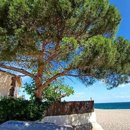 Апартаменты Appt 3p Pour 6 Proche Avec Jardin Prive, Animaux Admis - Fr-1-776-109 Аржель-сюр-Мер